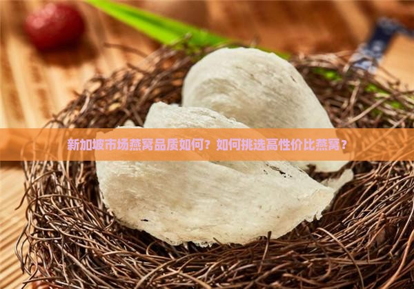新加坡市场燕窝品质如何？如何挑选高性价比燕窝？