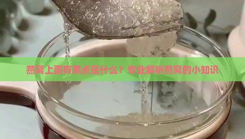 燕窝上面有黑点是什么？专业解析燕窝的小知识