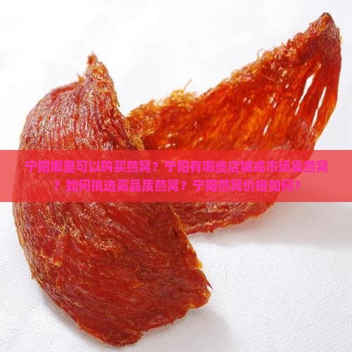 宁阳哪里可以购买燕窝？宁阳有哪些店铺或市场卖燕窝？如何挑选高品质燕窝？宁阳燕窝价格如何？