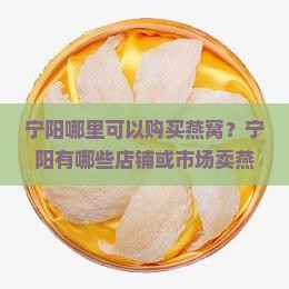宁阳哪里可以购买燕窝？宁阳有哪些店铺或市场卖燕窝？如何挑选高品质燕窝？宁阳燕窝价格如何？