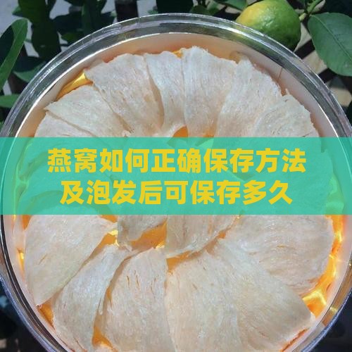 燕窝如何正确保存方法及泡发后可保存多久