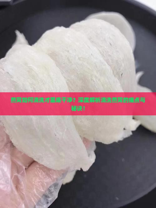燕窝如何清洗才墓底干净？深度解析清洗燕窝的痛点与秘诀！