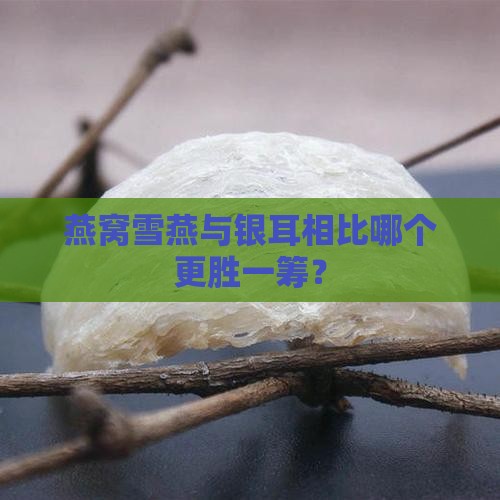 燕窝雪燕与银耳相比哪个更胜一筹？