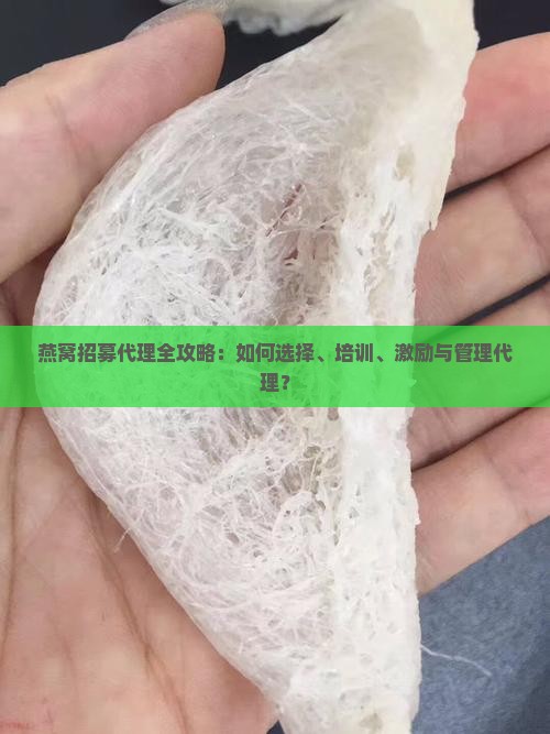 燕窝招募代理全攻略：如何选择、培训、激励与管理代理？