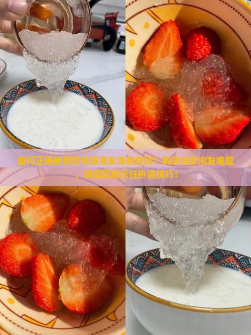 如何正确使用煲炖锅泡发海参燕窝?解决海参泡发难题,掌握最新烹饪热词技巧! 如何正确使用煲炖锅泡发海参燕窝?解决海参泡发难题,掌握最新烹饪热词技巧!