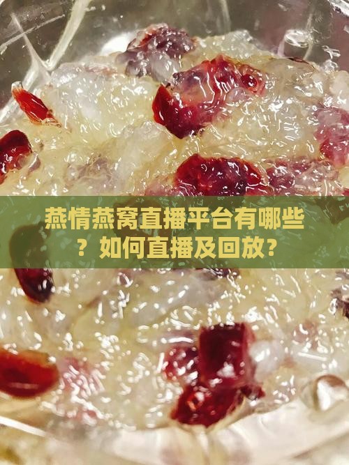 燕情燕窝直播平台有哪些?如何直播及回放? 燕情燕窝直播平台有哪些?如何直播及回放?