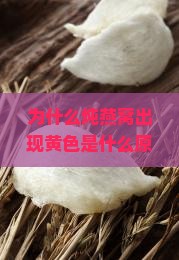 为什么炖燕窝出现黄色是什么原因？炖煮燕窝变黄如何避免，掌握炖燕窝的正确方法！