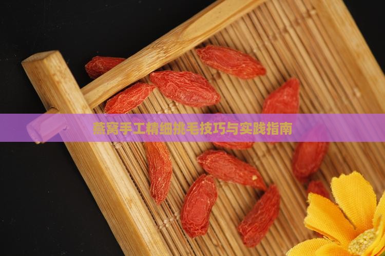 燕窝手工精细挑毛技巧与实践指南 燕窝手工精细挑毛技巧与实践指南