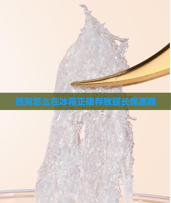燕窝怎么在冰箱正确存放延长保质期