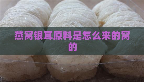燕窝银耳原料是怎么来的窝的