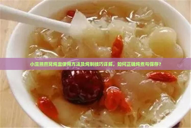 小浣熊燕窝炖盅使用方法及炖制技巧详解，如何正确炖煮与保存？