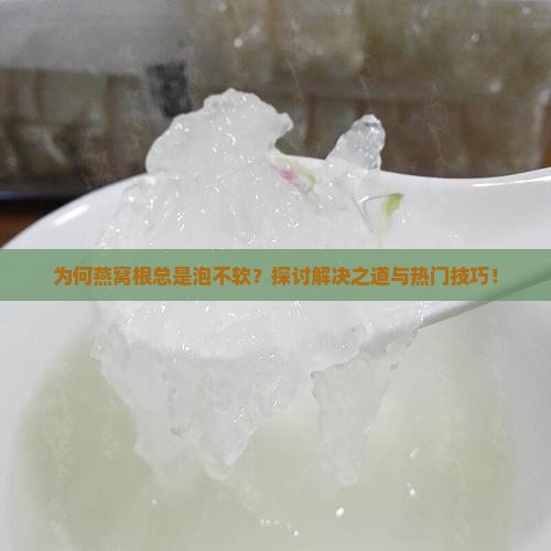 为何燕窝根总是泡不软？探讨解决之道与热门技巧！