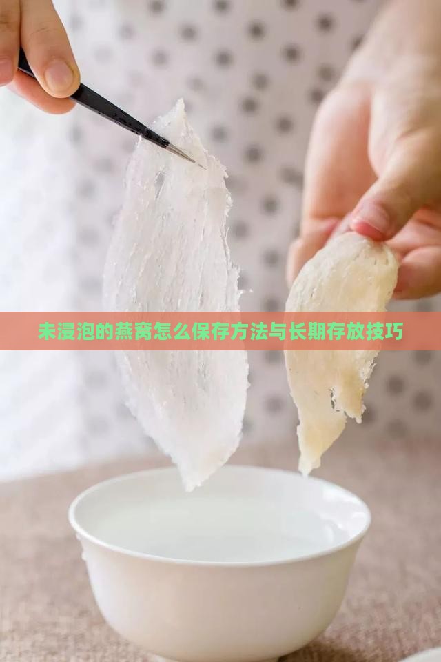 未浸泡的燕窝怎么保存方法与长期存放技巧
