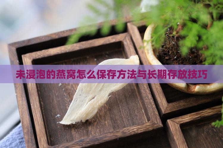 未浸泡的燕窝怎么保存方法与长期存放技巧