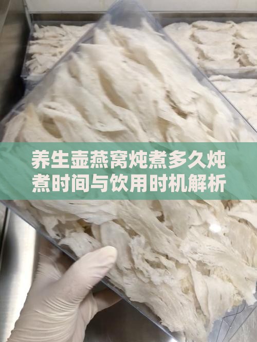 养生壶燕窝炖煮多久炖煮时间与饮用时机解析
