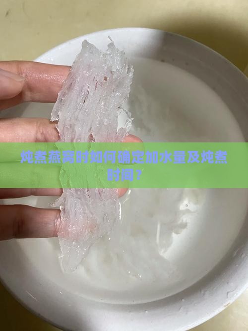 炖煮燕窝时如何确定加水量及炖煮时间？
