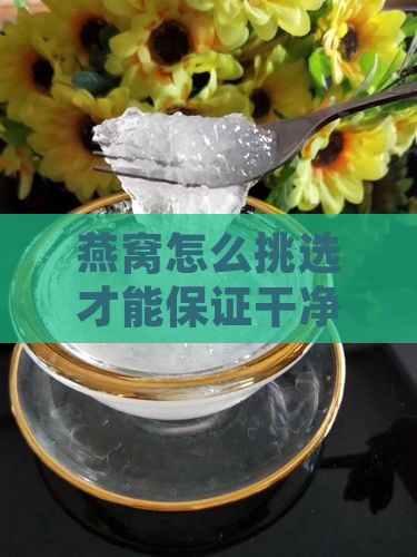 燕窝怎么挑选才能保证干净无杂质