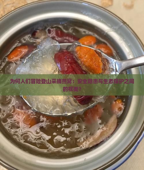 为何人们冒险登山采摘燕窝：安全隐患与生态保护之间的权衡？