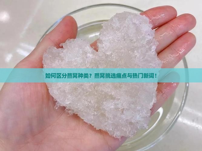 如何区分燕窝种类？燕窝挑选痛点与热门新词！