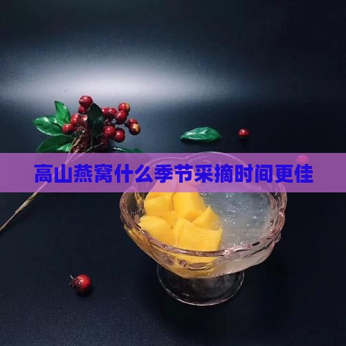 高山燕窝什么季节采摘时间更佳