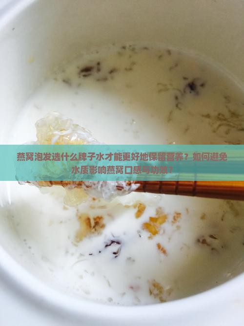 燕窝泡发选什么牌子水才能更好地保留营养？如何避免水质影响燕窝口感与功效？