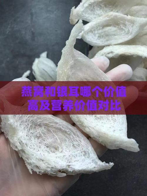 燕窝和银耳哪个价值高及营养价值对比