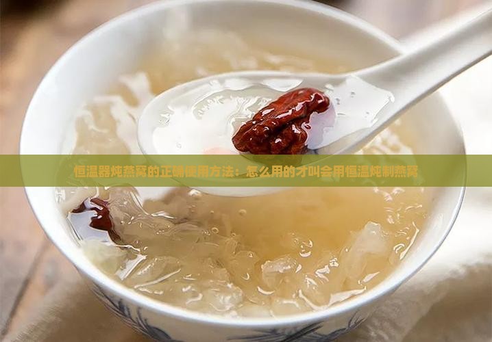 恒温器炖燕窝的正确使用方法：怎么用的才叫会用恒温炖制燕窝