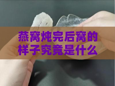燕窝炖完后窝的样子究竟是什么