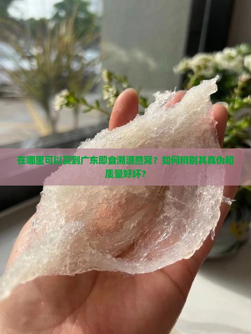 在哪里可以买到广东即食溯源燕窝？如何辨别其真伪和质量好坏？
