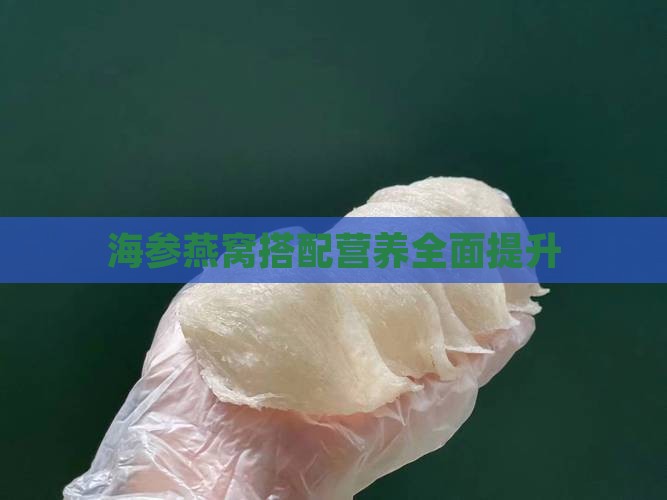 海参燕窝搭配营养全面提升
