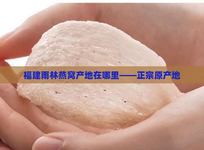 福建雨林燕窝产地在哪里——正宗原产地