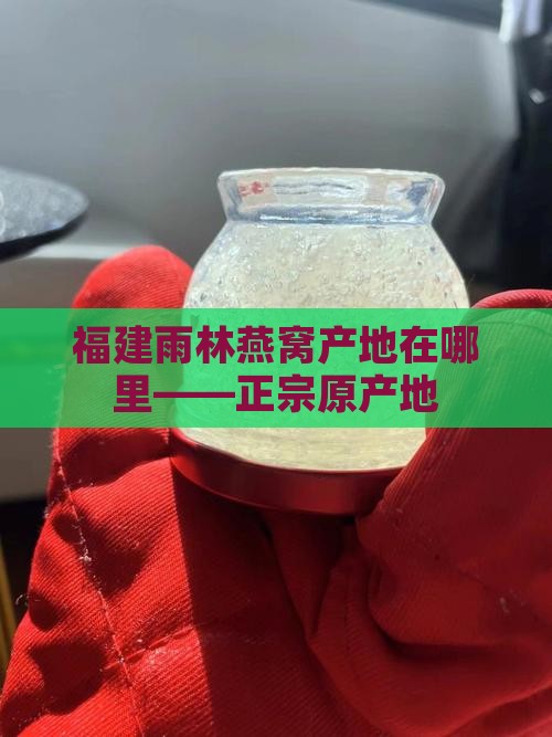 福建雨林燕窝产地在哪里——正宗原产地