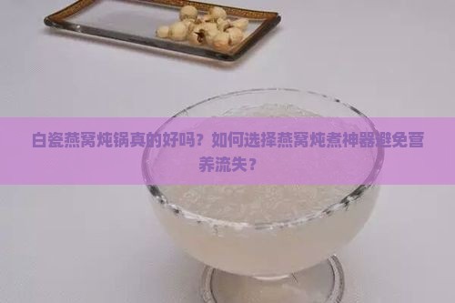 白瓷燕窝炖锅真的好吗？如何选择燕窝炖煮神器避免营养流失？
