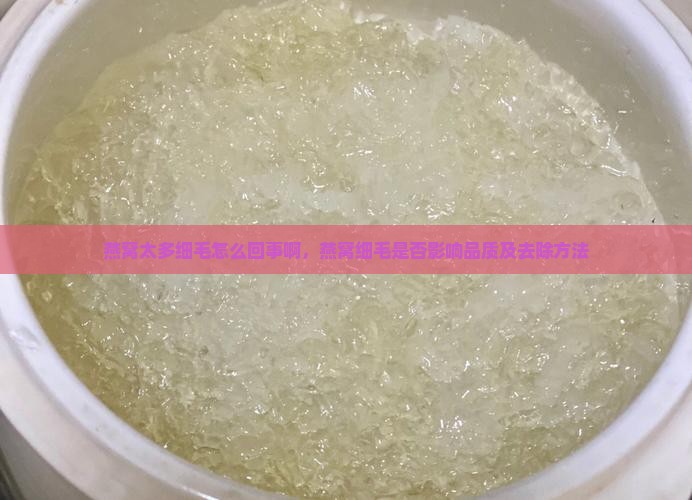 燕窝太多细毛怎么回事啊，燕窝细毛是否影响品质及去除方法