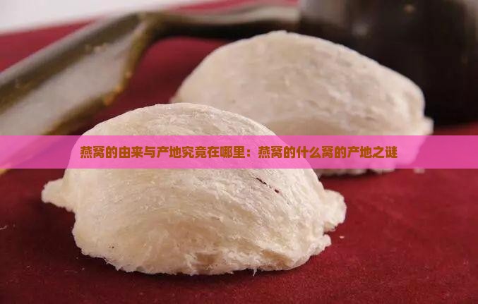 燕窝的由来与产地究竟在哪里：燕窝的什么窝的产地之谜