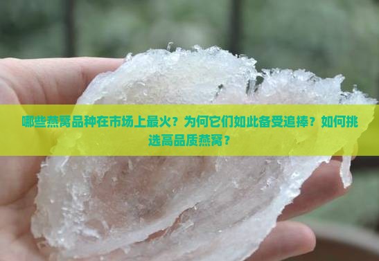 哪些燕窝品种在市场上最火？为何它们如此备受追捧？如何挑选高品质燕窝？