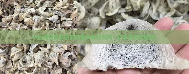 小仙炖燕窝真的能改善头发状况吗？护发养发新趋势！
