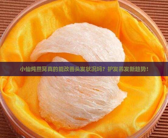 小仙炖燕窝真的能改善头发状况吗？护发养发新趋势！