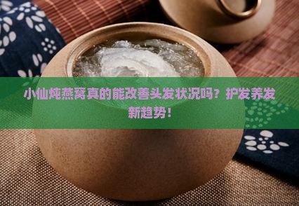小仙炖燕窝真的能改善头发状况吗？护发养发新趋势！