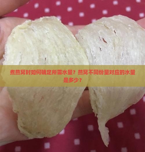 煮燕窝时如何确定所需水量？燕窝不同份量对应的水量是多少？