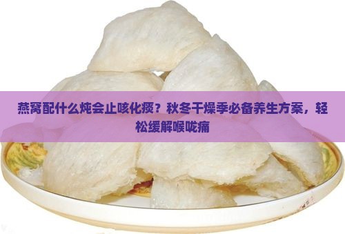 燕窝配什么炖会止咳化痰？秋冬干燥季必备养生方案，轻松缓解喉咙痛