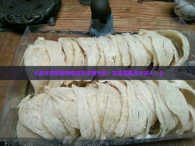 《北方燕窝果种植成本详细分析：究竟需要多少投入？》