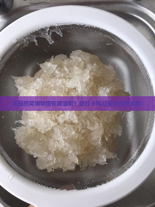 莆田燕窝博物馆在哪里啊？想打卡网红景点的快来看！