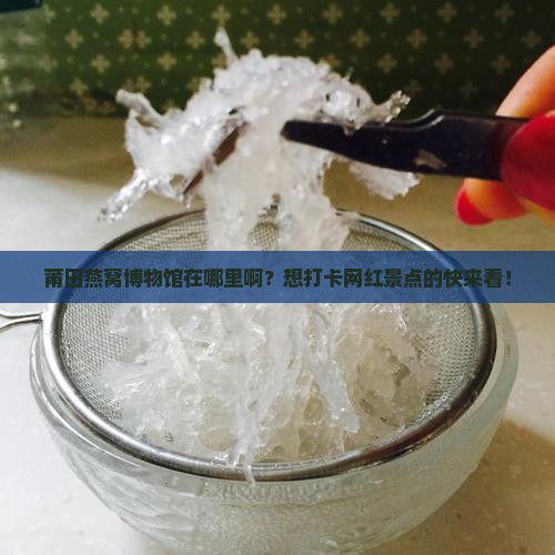 莆田燕窝博物馆在哪里啊？想打卡网红景点的快来看！