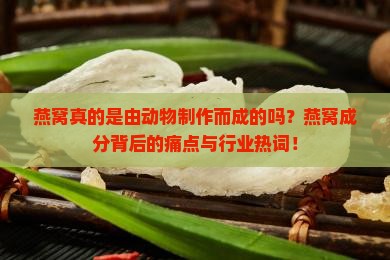 燕窝真的是由动物制作而成的吗？燕窝成分背后的痛点与行业热词！