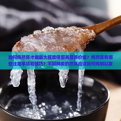 如何炖燕窝才能最大程度保留其营养价值？炖燕窝有哪些注意事项和技巧？不同种类的燕窝应该如何炖制以发挥功效？