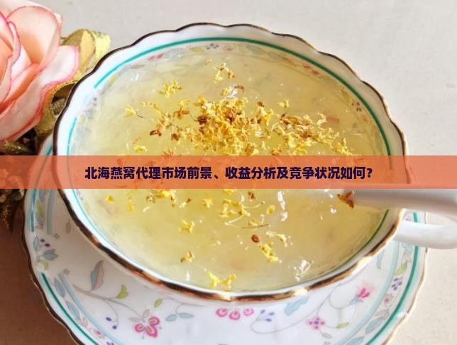 北海燕窝代理市场前景、收益分析及竞争状况如何？