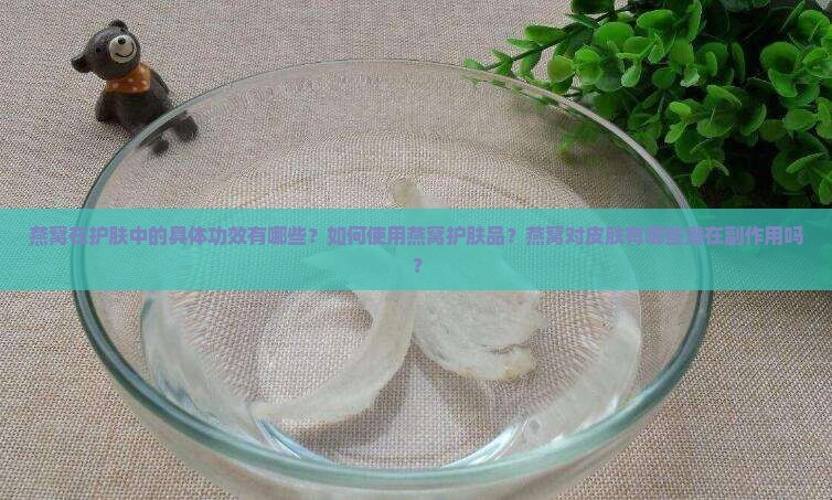 燕窝在护肤中的具体功效有哪些？如何使用燕窝护肤品？燕窝对皮肤有哪些潜在副作用吗？