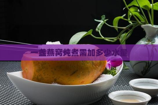 一盏燕窝炖煮需加多少水量