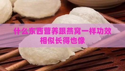 什么东西营养跟燕窝一样功效相似长得也像